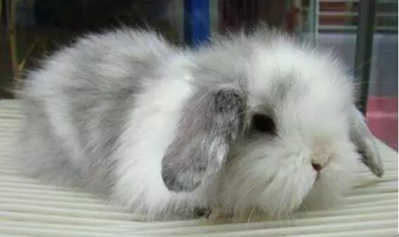 1526797653142140.jpg 微信圖片_20180520141628.jpg