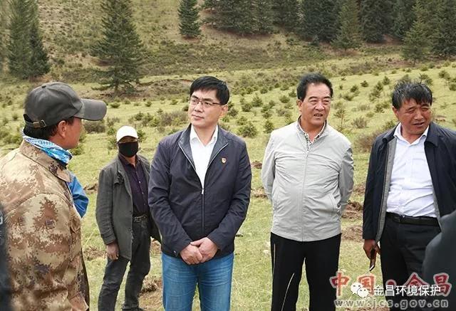 1528166156106281.jpg 01.jpg